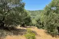 Land 1 room  Afionas, Greece