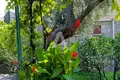 2 bedroom house 100 m² in Sveti Stefan, Montenegro