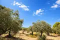 Parcelas 12 086 m² Neos Marmaras, Grecia