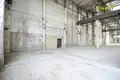 Manufacture 12 000 m² in Novalukoml, Belarus