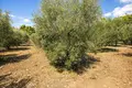 Atterrir 16 728 m² Neos Marmaras, Grèce