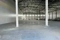 Склад 1 415 м² Фанипольский сельский Совет, Беларусь