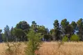Land 12 000 m² Kassandra Municipality, Greece