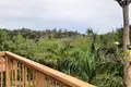 🌿 Eco-Lodge & Wellness Retreat in 11,500 m² Tropical Park – Las Terrenas