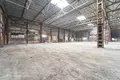 Склад 10 комнат 290 м² в Радошковичском сельском Совете, Беларусь