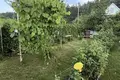 House 34 m² Dzitvianski sielski Saviet, Belarus