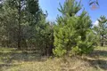Grundstück  Pratasievicki sielski Saviet, Belarus
