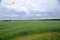 House 50 m² Kliannik, Belarus