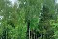 Дом 99 м² Острошицкогородокский сельский Совет, Беларусь
