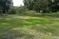 Działki  Olita, Litwa