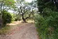 Land 1 room 6 500 m² Kariotiko, Greece
