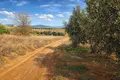 Land 4 000 m² Nea Triglia, Greece