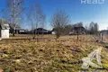 Grundstück  Telminski sielski Saviet, Belarus
