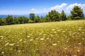 Parcelas 4 218 m² Kassandrino, Grecia
