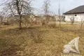 Działki  Telminski sielski Saviet, Białoruś