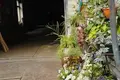 3 room house 48 m² Odesa, Ukraine