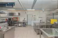 Wohnung 4 zimmer 130 m² Kedahnen, Litauen