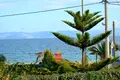 Cottage 6 bedrooms 290 m² Nea Makri, Greece