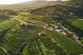 Apartment 10 rooms  Slovenia, Slovenia