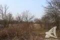 Land  Carnaucycki sielski Saviet, Belarus