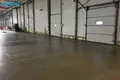 Nieruchomości komercyjne 4 254 m² w Kłajpeda, Litwa