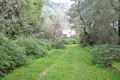 Земельные участки 1 комната 5 000 м² Municipality of Northern Corfu, Греция