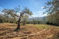 Land 9 400 m² Municipality of Sithonia, Greece