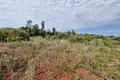 Land 600 m² Opcina Liznjan, Croatia