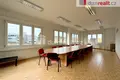 Commercial property 22 351 m² in Pravetin, Czech Republic