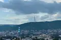 Apartment for rent in Tbilisi, Nadzaladevi
