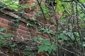 House 60 m² Shatkovsky District, Russia