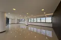 Shop 309 m² in Limassol District, Cyprus
