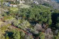 Dom 3 pokoi  Kolasin Municipality, Czarnogóra