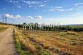 Atterrir 5 698 m² Nea Fokea, Grèce