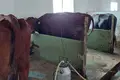 Produktion 3 000 m² Dobroolexandriwka, Ukraine