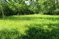 Land  Aliachnovicki sielski Saviet, Belarus