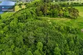 Parcelas  Kluoniskiai, Lituania