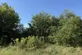 Parcelas 3 975 m² Czerwonak, Polonia