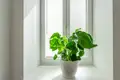 2 room apartment 38 m² Warsaw, Poland