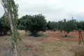 Atterrir 1 chambre  Kalyves Polygyrou, Grèce