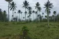 Atterrir  Phang Nga, Thaïlande
