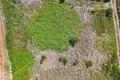 Grundstück 1 250 m² Opcina Liznjan, Kroatien