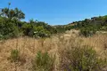 Atterrir 6 662 m² Nikiti, Grèce