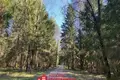 House 31 m² Parecki sielski Saviet, Belarus