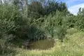 Haus 81 m² Indurski sielski Saviet, Belarus