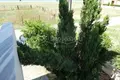 3 bedroom house 75 m² Paralia Dionisiou, Greece