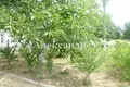 Dom 4 pokoi 140 m² Odessa, Ukraina