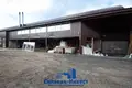 Warehouse 501 m² in Kirsy, Belarus