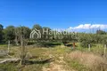Parcelas 4 054 m² Agios Mamas, Grecia