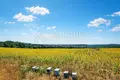 Działki 12 412 m² Kassandra Municipality, Grecja